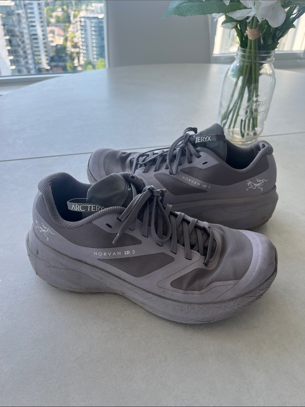 Arc'teryx Norvan LD 3 Gor-Tex